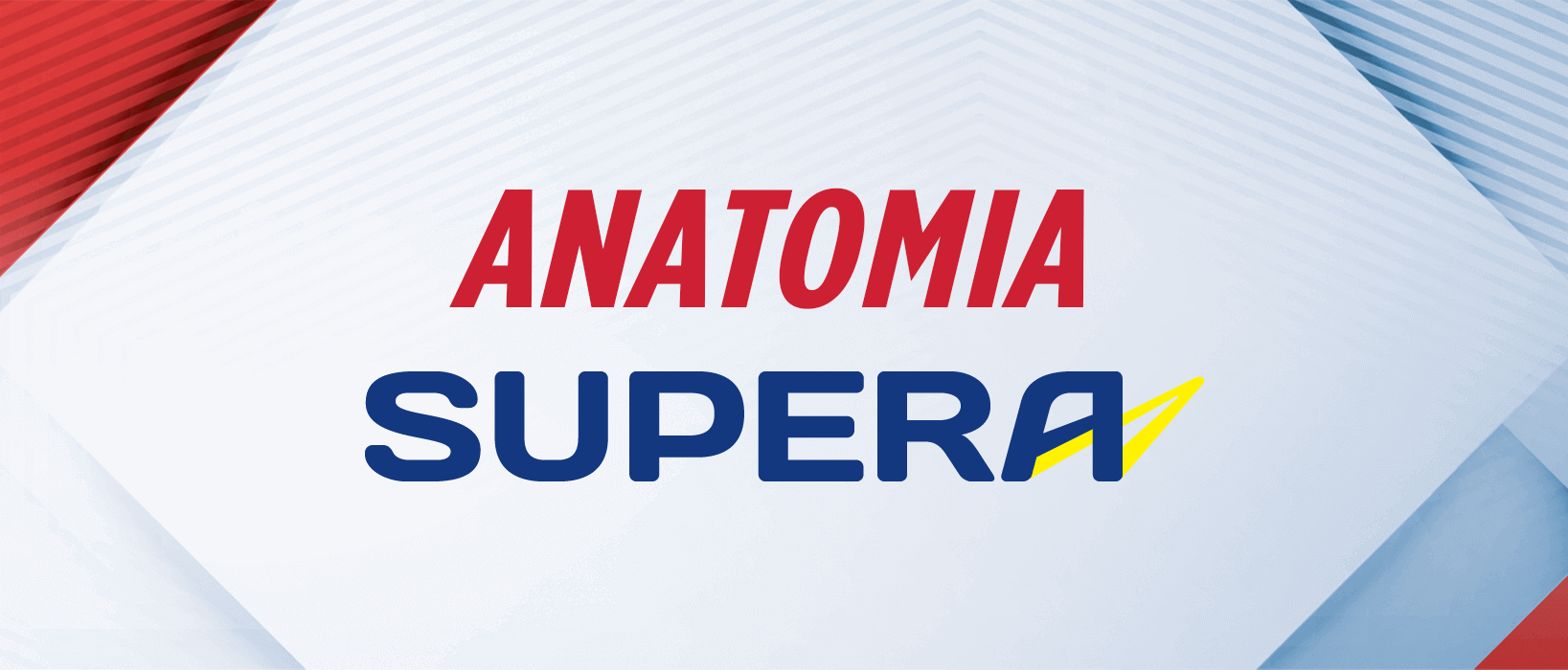 Anatomia Supera
